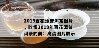 2019百花潭普洱茶图片，欣赏2019年百花潭普洱茶的美：高清图片展示