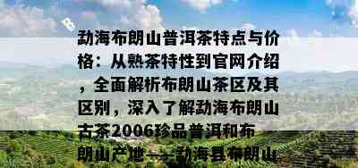 勐海布朗山普洱茶特点与价格：从熟茶特性到官网介绍，全面解析布朗山茶区及其区别，深入了解勐海布朗山古茶2006珍品普洱和布朗山产地——勐海县布朗山