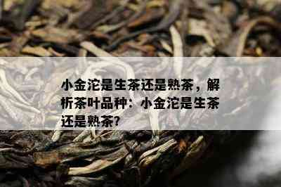 小金沱是生茶还是熟茶，解析茶叶品种：小金沱是生茶还是熟茶？