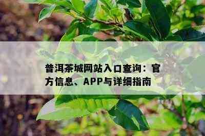 普洱茶城网站入口查询：官方信息、APP与详细指南