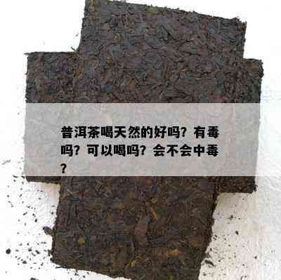 普洱茶喝天然的好吗？有吗？可以喝吗？会不会中？