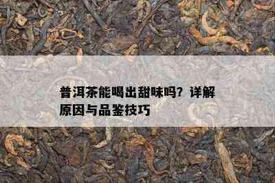 普洱茶能喝出甜味吗？详解原因与品鉴技巧