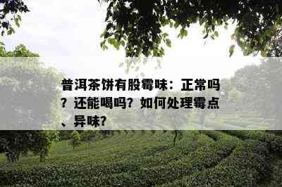 普洱茶饼有股霉味：正常吗？还能喝吗？如何处理霉点、异味？