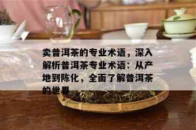 卖普洱茶的专业术语，深入解析普洱茶专业术语：从产地到陈化，全面了解普洱茶的世界