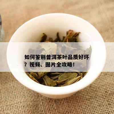 如何鉴别普洱茶叶品质好坏？视频、图片全攻略！