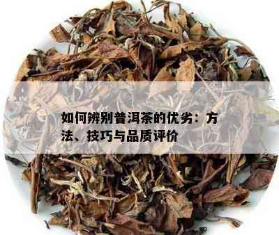 如何辨别普洱茶的优劣：方法、技巧与品质评价