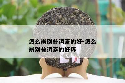 怎么辨别普洱茶的好-怎么辨别普洱茶的好坏