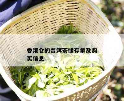 仓的普洱茶储存量及购买信息