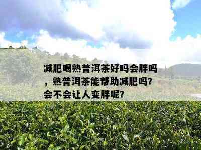 减肥喝熟普洱茶好吗会胖吗，熟普洱茶能帮助减肥吗？会不会让人变胖呢？