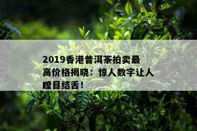 2019普洱茶拍卖更高价格揭晓：惊人数字让人瞠目结舌！