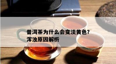 普洱茶为什么会变淡黄色？浑浊原因解析