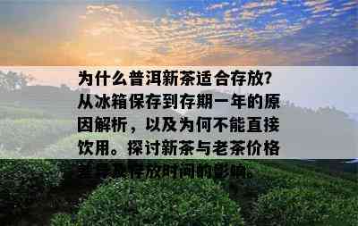 为什么普洱新茶适合存放？从冰箱保存到存期一年的原因解析，以及为何不能直接饮用。探讨新茶与老茶价格差异及存放时间的影响。