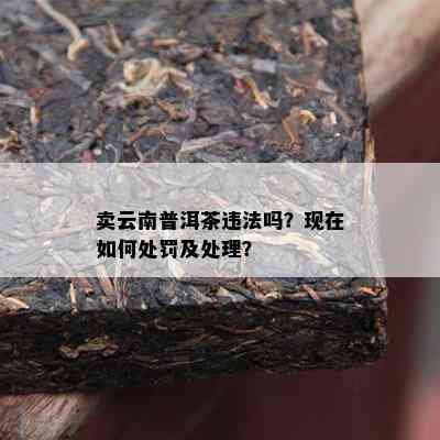 卖云南普洱茶违法吗？现在如何处罚及处理？