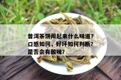 普洱茶饼闻起来什么味道？口感如何，好坏如何判断？是否会有酸味？