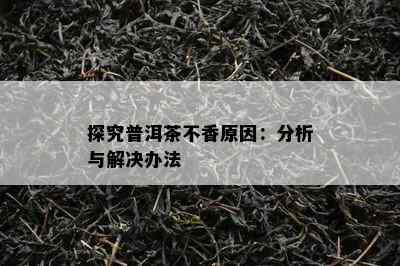 探究普洱茶不香原因：分析与解决办法