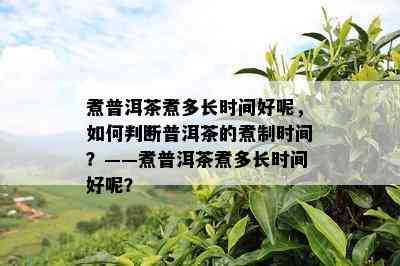 煮普洱茶煮多长时间好呢，如何判断普洱茶的煮制时间？——煮普洱茶煮多长时间好呢？