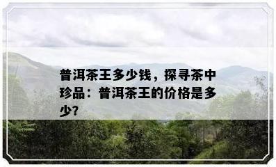 普洱茶王多少钱，探寻茶中珍品：普洱茶王的价格是多少？