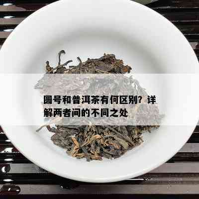 圆号和普洱茶有何区别？详解两者间的不同之处