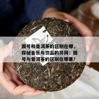 圆号和普洱茶的区别在哪，探秘音乐与饮品的异同：圆号与普洱茶的区别在哪里？