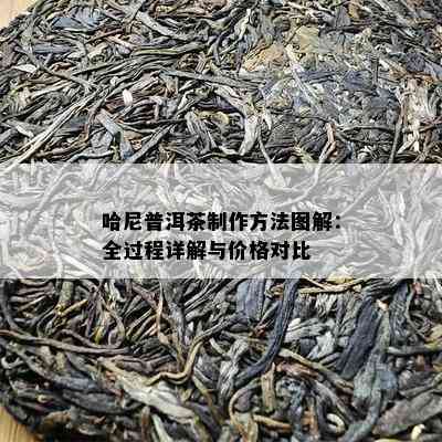 哈尼普洱茶制作方法图解：全过程详解与价格对比