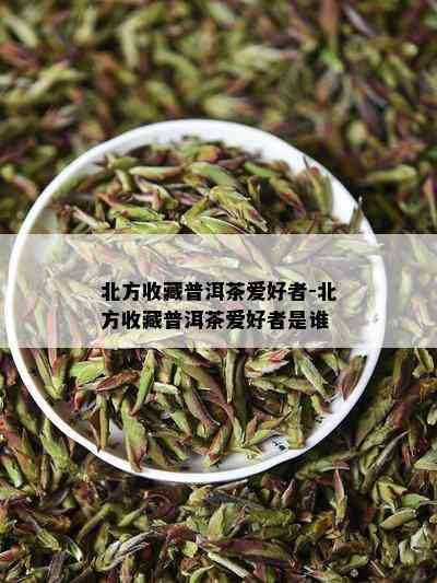 北方收藏普洱茶爱好者-北方收藏普洱茶爱好者是谁