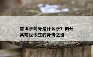 普洱茶前身是什么茶？揭开其前世今生的身份之谜