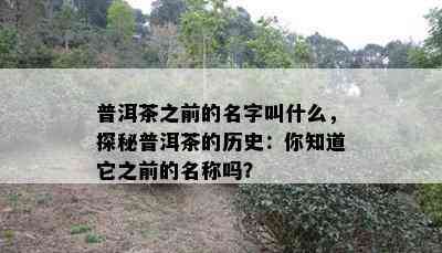 普洱茶之前的名字叫什么，探秘普洱茶的历史：你知道它之前的名称吗？