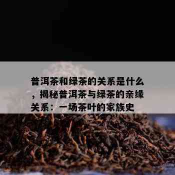 普洱茶和绿茶的关系是什么，揭秘普洱茶与绿茶的亲缘关系：一场茶叶的家族史