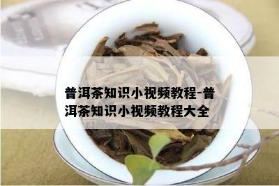 普洱茶知识小视频教程-普洱茶知识小视频教程大全