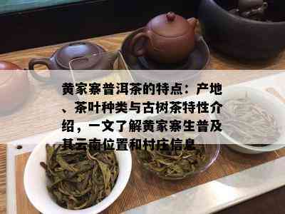 黄家寨普洱茶的特点：产地、茶叶种类与古树茶特性介绍，一文了解黄家寨生普及其云南位置和村庄信息