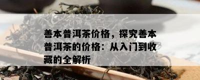 善本普洱茶价格，探究善本普洱茶的价格：从入门到收藏的全解析