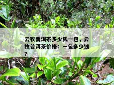 云牧普洱茶多少钱一包，云牧普洱茶价格：一包多少钱？