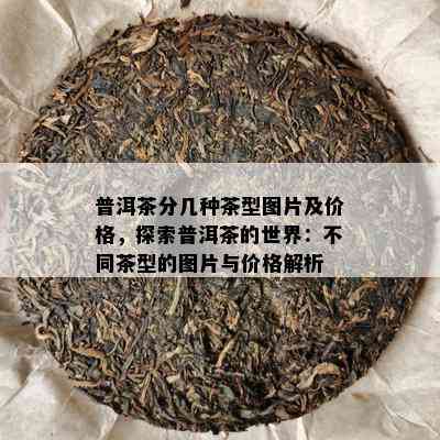 普洱茶分几种茶型图片及价格，探索普洱茶的世界：不同茶型的图片与价格解析