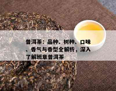 普洱茶：品种、树种、口味、香气与香型全解析，深入了解班章普洱茶