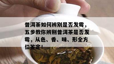 普洱茶如何辨别是否发霉，五步教你辨别普洱茶是否发霉，从色、香、味、形全方位鉴定！