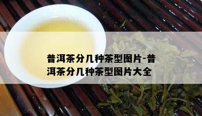 普洱茶分几种茶型图片-普洱茶分几种茶型图片大全