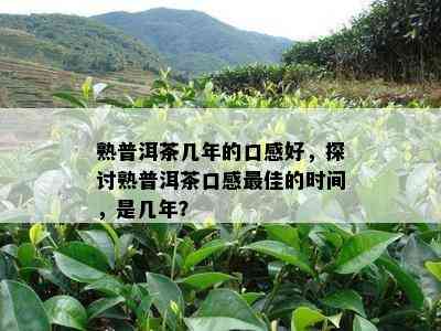 熟普洱茶几年的口感好，探讨熟普洱茶口感更佳的时间，是几年？