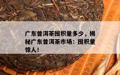 广东普洱茶囤积量多少，揭秘广东普洱茶市场：囤积量惊人！