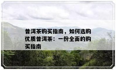 普洱茶购买指南，如何选购优质普洱茶：一份全面的购买指南