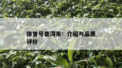 徐普号普洱茶：介绍与品质评价