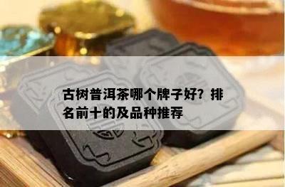 古树普洱茶哪个牌子好？排名前十的及品种推荐