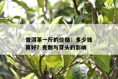 普洱茶一斤的价格：多少钱算好？克数与芽头的影响