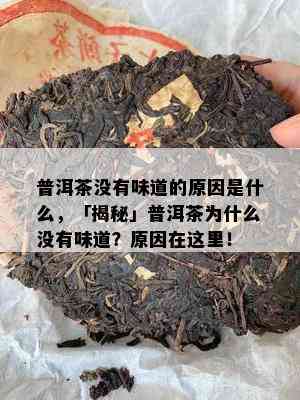 普洱茶没有味道的原因是什么，「揭秘」普洱茶为什么没有味道？原因在这里！