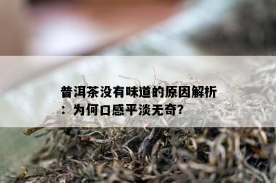 普洱茶没有味道的原因解析：为何口感平淡无奇？