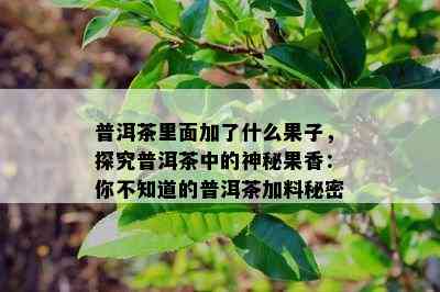 普洱茶里面加了什么果子，探究普洱茶中的神秘果香：你不知道的普洱茶加料秘密