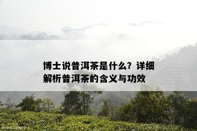 博士说普洱茶是什么？详细解析普洱茶的含义与功效