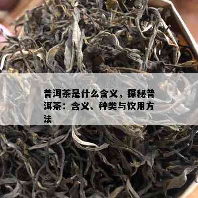 普洱茶是什么含义，探秘普洱茶：含义、种类与饮用方法