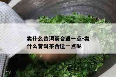 卖什么普洱茶合适一点-卖什么普洱茶合适一点呢