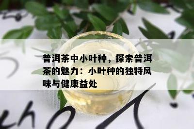 普洱茶中小叶种，探索普洱茶的魅力：小叶种的独特风味与健康益处