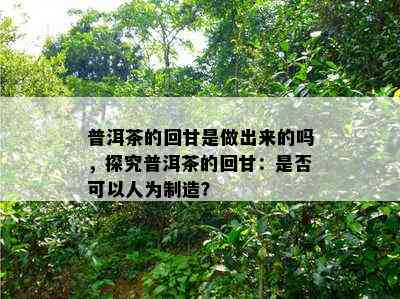 普洱茶的回甘是做出来的吗，探究普洱茶的回甘：是否可以人为制造？